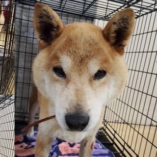 【助けて下さい❗️】性格花マルです‼︎
