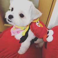 てる