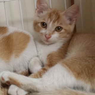 可愛い♡可愛い♡男の子