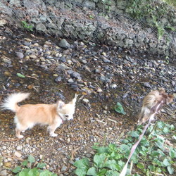 「森林公園に行ったよ～(^^♪」サムネイル2