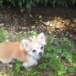 「森林公園に行ったよ～(^^♪」サムネイル3