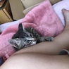ちーたろー