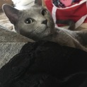 可愛がってくれる方