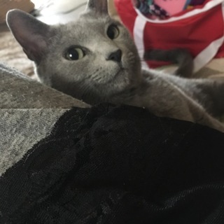 可愛がってくれる方