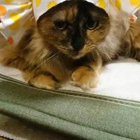 もぐちゃん