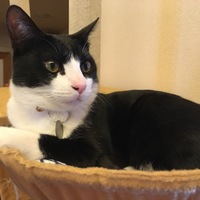 うに