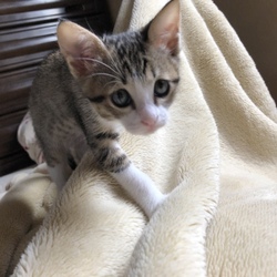 「850gになりました！！」サムネイル1