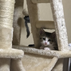 「850gになりました！！」サムネイル2