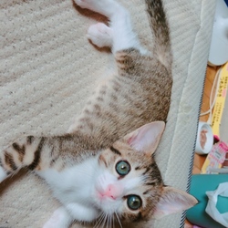 「850gになりました！！」サムネイル3