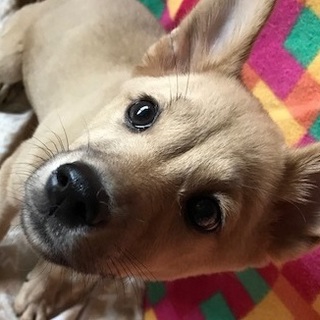 譲渡されました！！