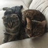 仲良し♡