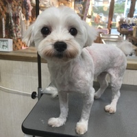 はる