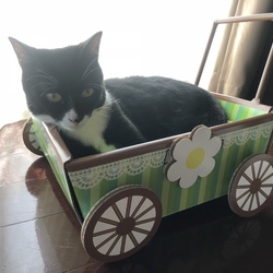 「呼吸数」サムネイル3