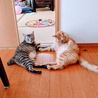 の写真