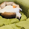 首かっくん。