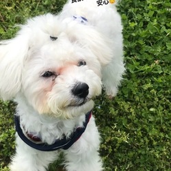 うちのタラちゃん