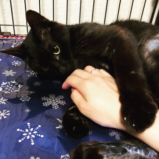 里親様が決まりました♡有難うございました！