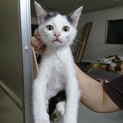 白黒☆男の子 つぶ餡くん