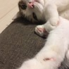 日向ぼっこ♡