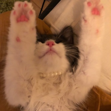 バンザーイ