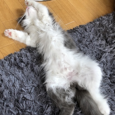 実は起きてる