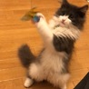 リアルハンター