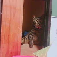 けんちゃん