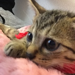 ☆とっても優しいママに出逢えました！感謝！☆