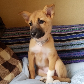 生後2〜3ヶ月の可愛い女の子