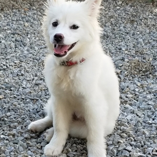 生後2〜3ヶ月の可愛い女の子②