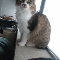 わらび(仮名)⇒おうち決定