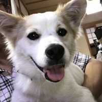 ひなた