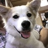 ひなた