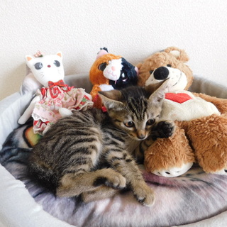 ☆とっても優しいママに出逢えました！感謝！☆