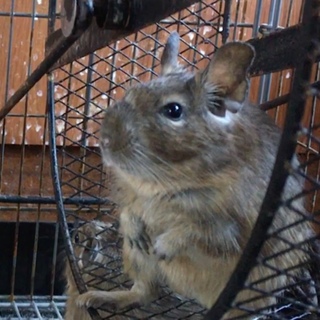 ありがとうございました！