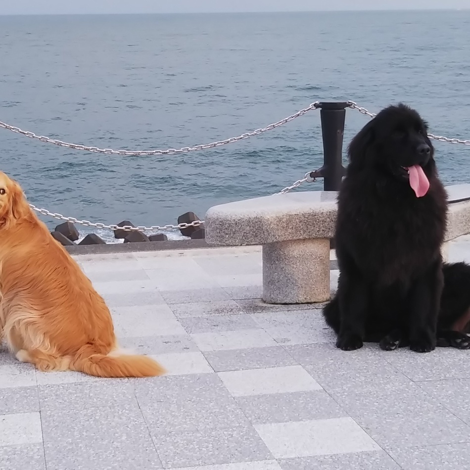 ベアンのカバー写真