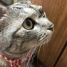  さん