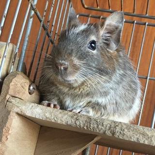 ありがとうございました！