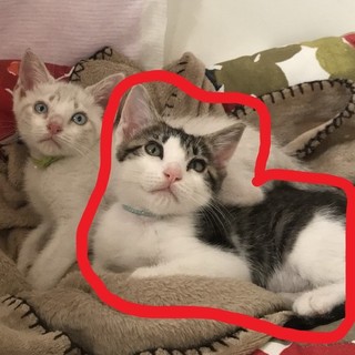 2018/4生まれのそうたくん♂