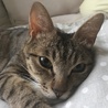 探検も終わりだいぶ家に慣れて来た！おもちゃで遊んだり 追っかけっこしたり