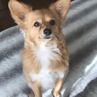ツナ