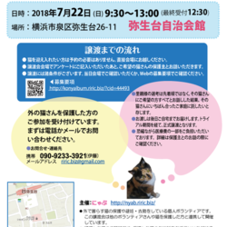 横浜市泉区でねこの譲渡会第8回 7月22日（日）