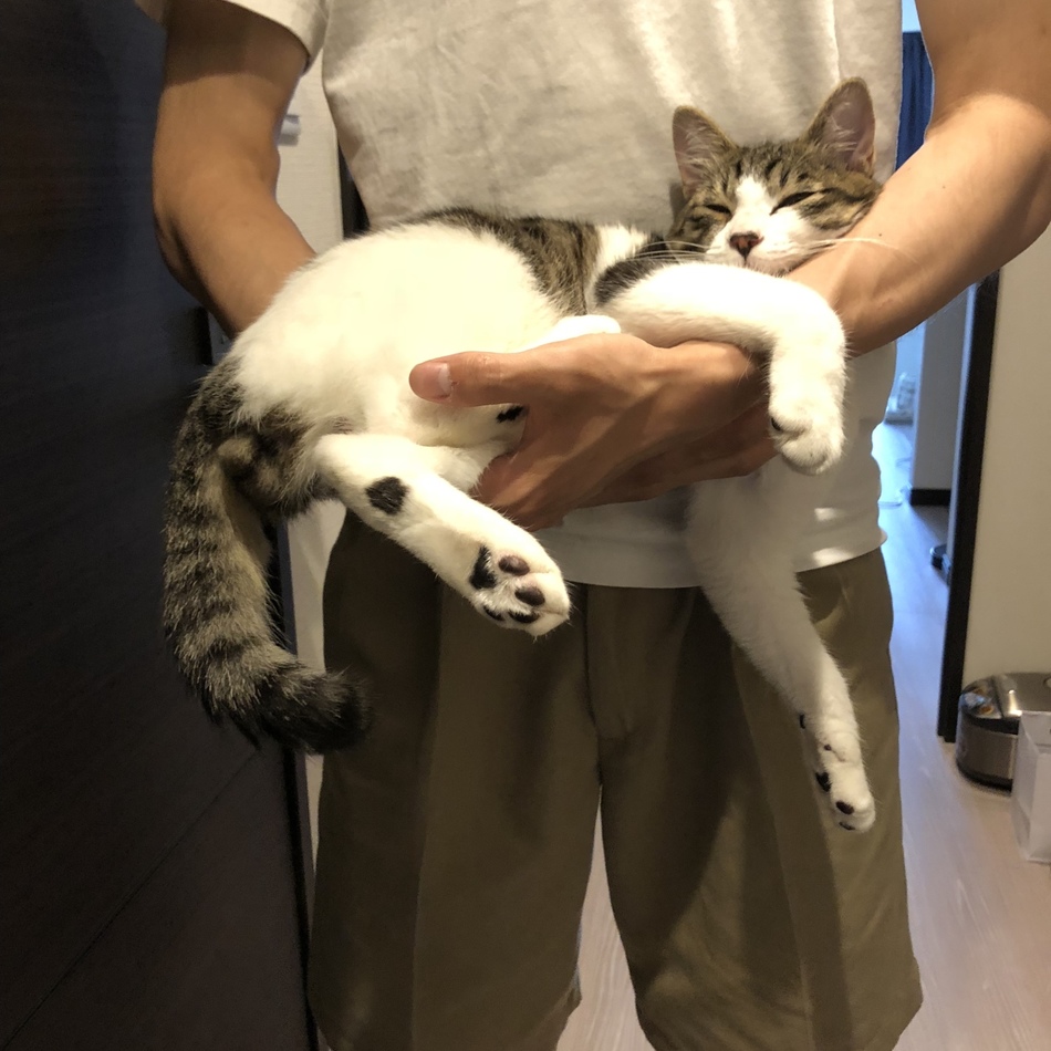 ハイネケンのカバー写真