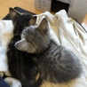 ご飯を食べて眠くなった様です。