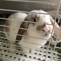 そら