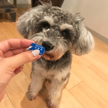 迷いに迷って狂犬病ワクチン打ちました