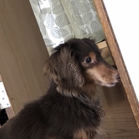 チェルシー