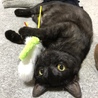 全部ぼくのだよ！
