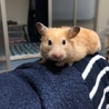 まあくおんちゃんさん