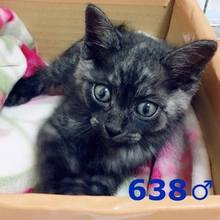 管理番号：OS−638